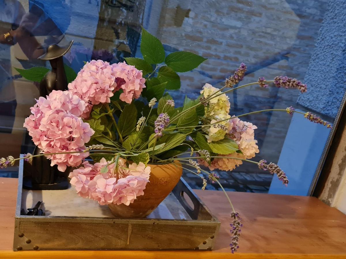 Garden Center Apartment ノヴィ・サド エクステリア 写真